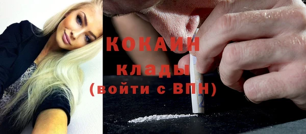дживик Абаза