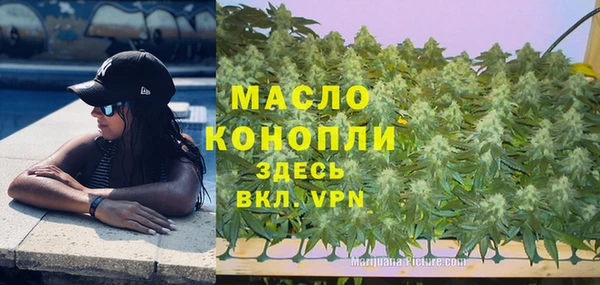 дживик Абаза
